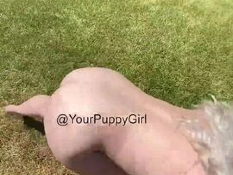 Yourpuppygirl leaked nude video mega pack part 1