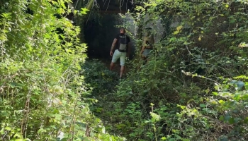 Polly et Hiro explorent la forêt et le sexe sauvage